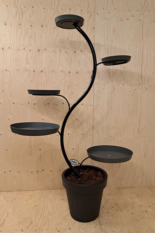 Ponsai indoor black edition