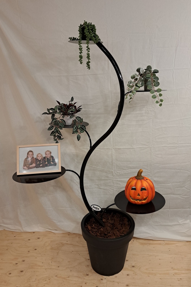 Ponsai indoor black edition