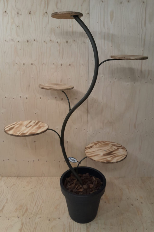 Ponsai indoor wood&olive